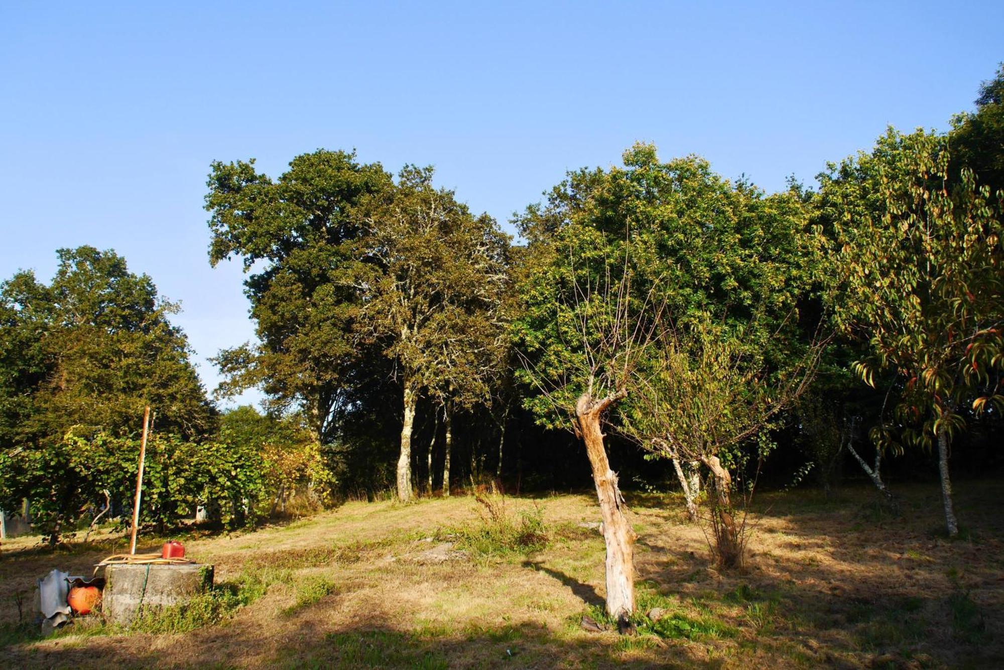 Casa Ermitas - Relajate En Plena Naturaleza A Estrada Dış mekan fotoğraf